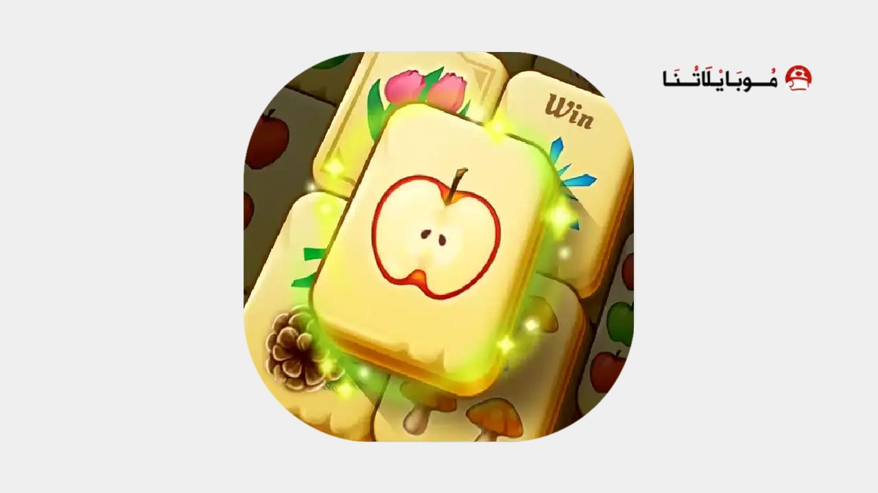 Mahjong Forest Puzzle