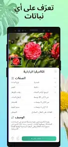 تحميل تطبيق PictureThis مهكر APK للأندرويد 2027 أخر إصدار مجانًا