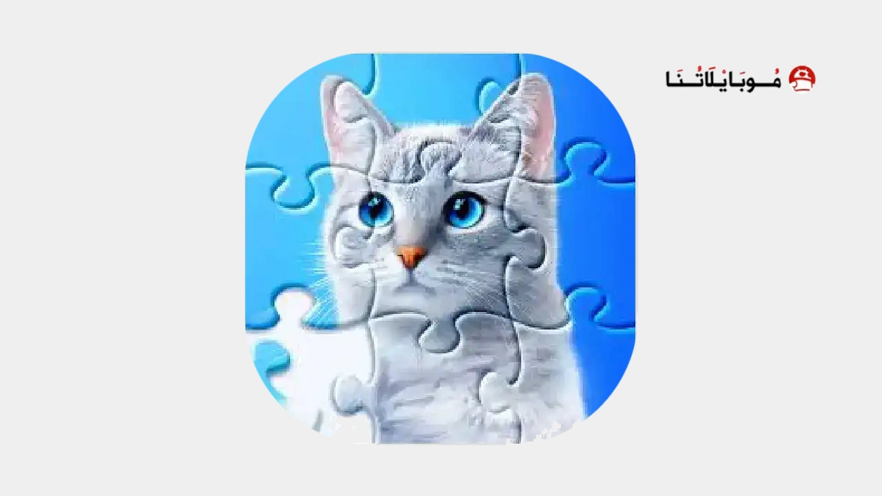 Jigsaw Puzzles