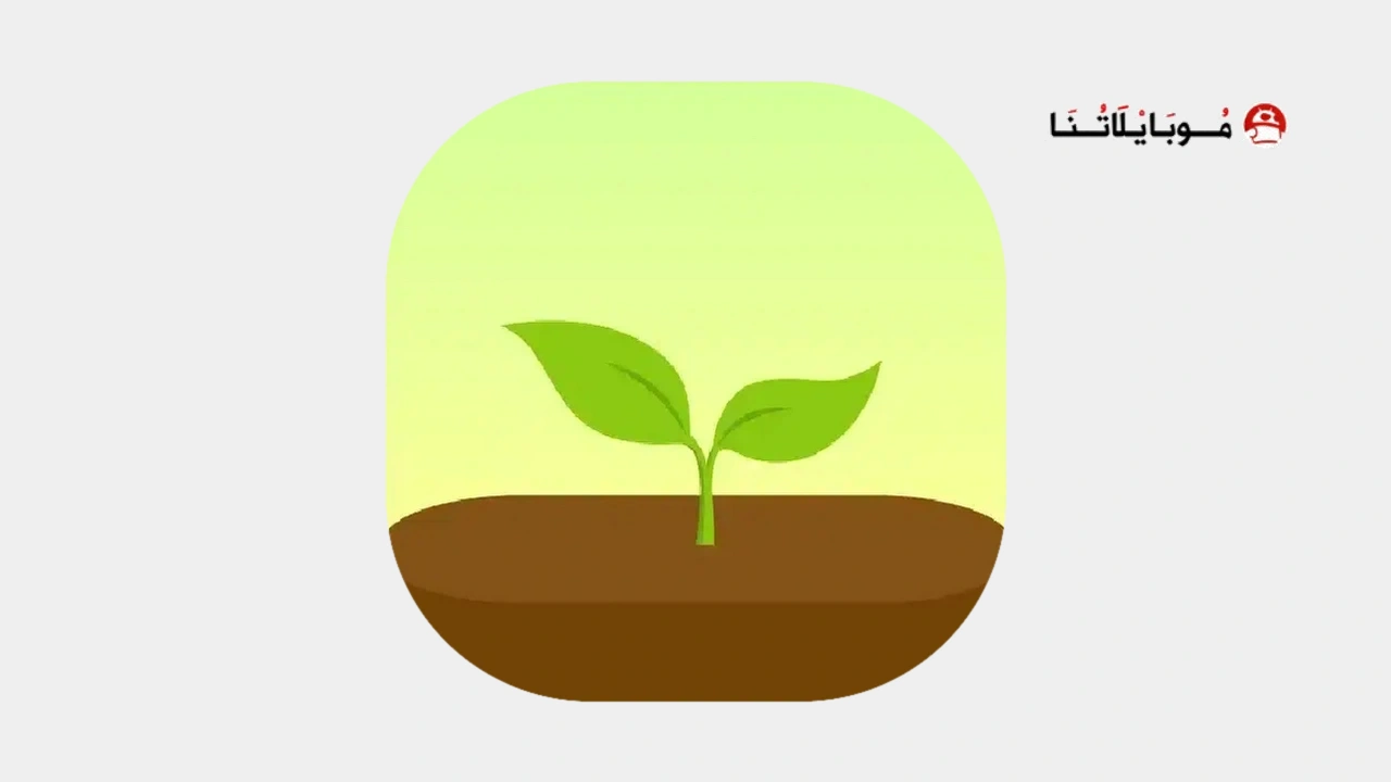 تطبيق حافظ على تركیزك Forest
